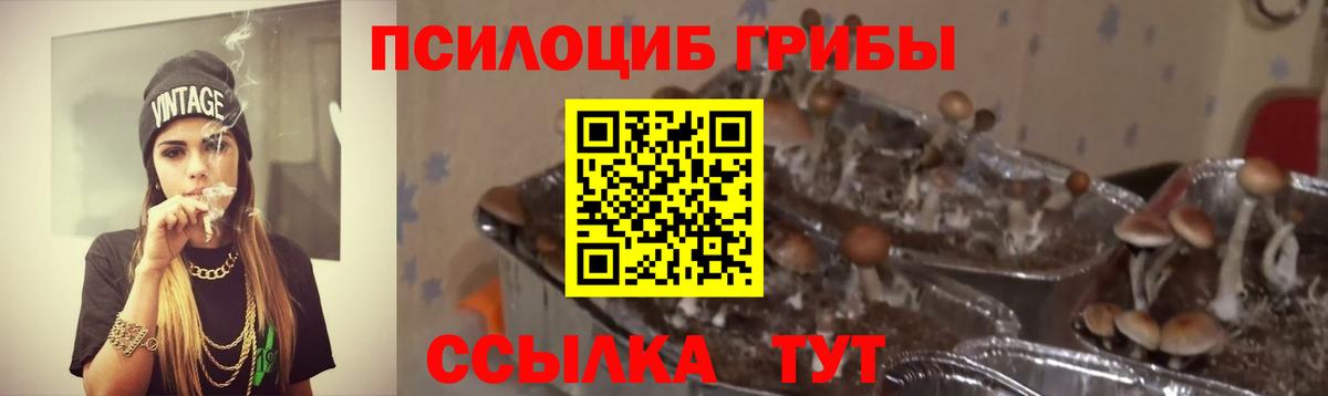 Псилоцибиновые грибы мицелий  Галлюциногенные грибы Cubensis  Шахты  Вход с VPN 